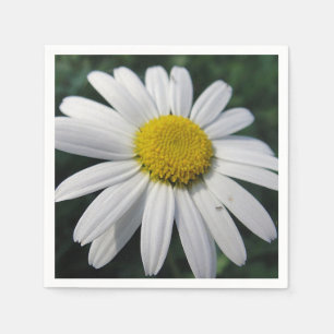 Big White Daisy Napkins