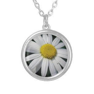 Big White Daisy Silver Plated Necklace