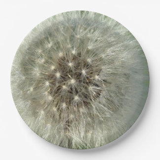 Big White Dandelion Paper Plates