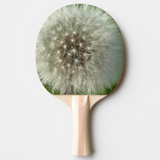Big White Dandelion Ping Pong Paddle