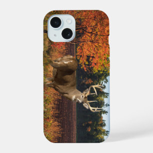 Big Whitetail Buck Strikes a Pose iPhone 15 Case