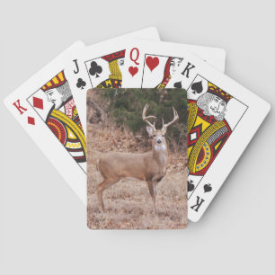 Big Wild Buck Deer Large Antlers Texas Deer Poker Cards