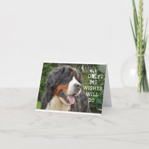 BIG WISHES ON YOUR **21st BIRTHDAY** Card