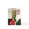 Big Xmas Hair Humor Holiday Card