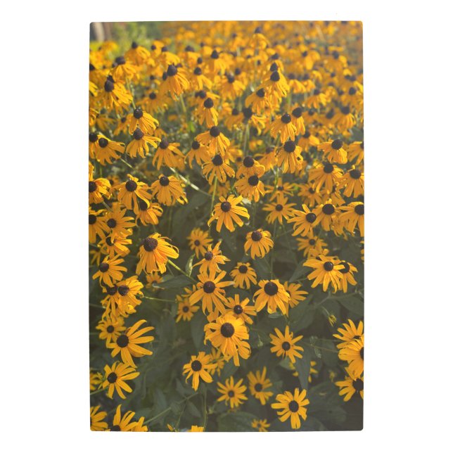 Big Yellow 2025 Metal Print (Front)