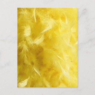 Big Yellow Feathers Postcard