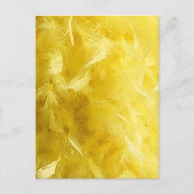 Big Yellow Feathers Postcard (Front)