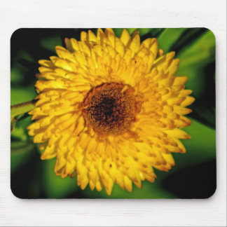 Big Yellow Flower Mouse Pad