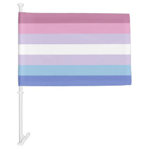 Bigender Car Flag
