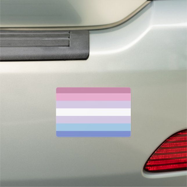 Bigender Flag Car Magnet (In Situ)