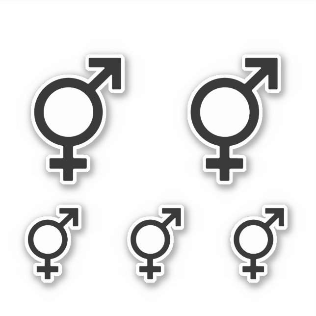 Bigender Gender Symbol Sticker (Front)