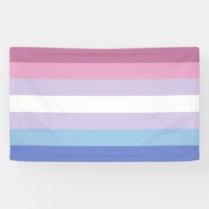 Bigender Pride Banner