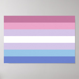 Bigender Pride Poster