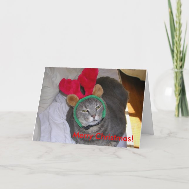 bigfatcat, Merry Christmas! Holiday Card (Front)