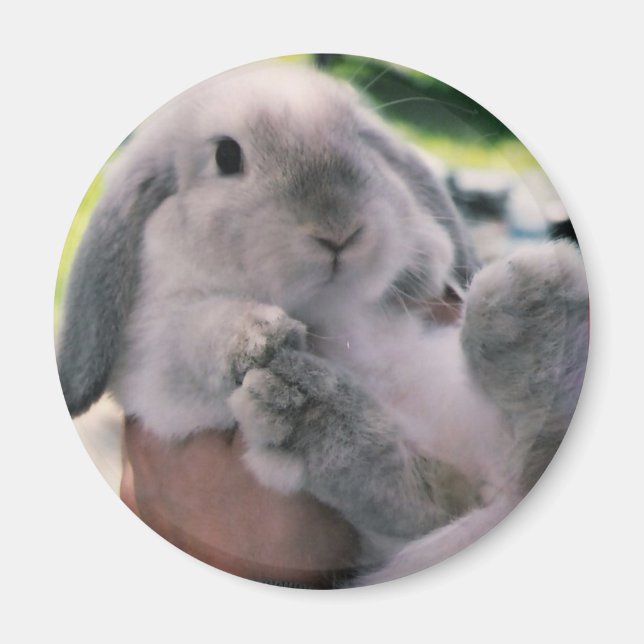 bigfeet magnet (Front)