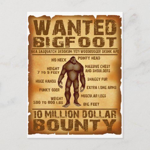 Bigfoot Bounty 10 Million Dollar Wanted Poster Postcard