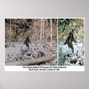 Bigfoot: High Quality Photographic Print