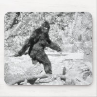 Bigfoot