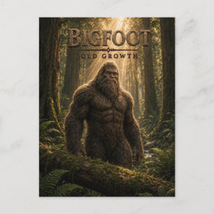 Bigfoot Old Growth Dark Cinema Postcard