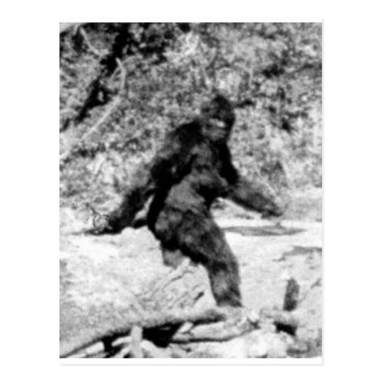 Bigfoot Postcard | Zazzle.com