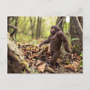 Bigfoot Postcard Sasquatch