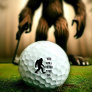 BIGFOOT / Sasquatch : YOU WILL NEVER FIND ME Golf Balls