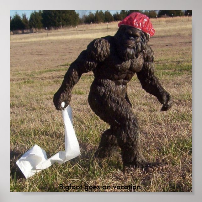 Bigfoot sighting poster (Front)