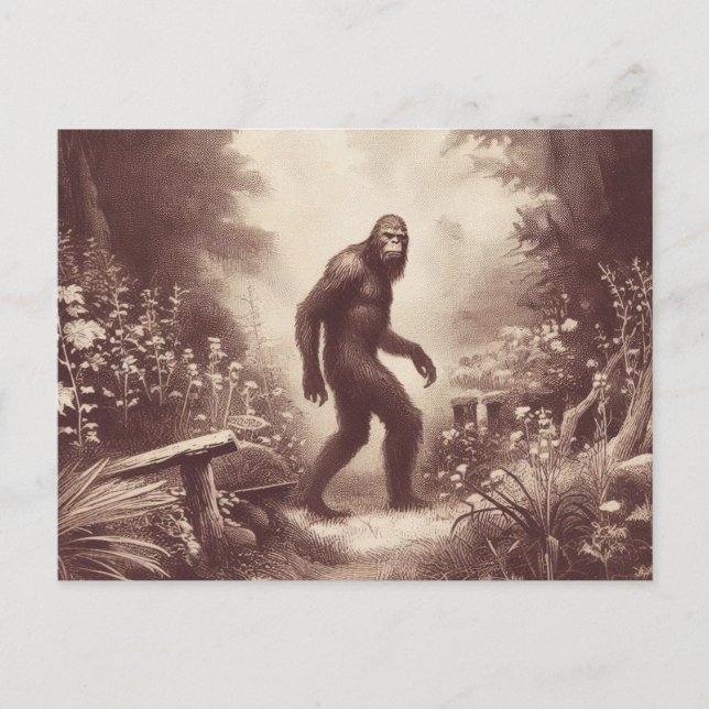 Bigfoot Vintage Illustration Folklore Postcard (Front)