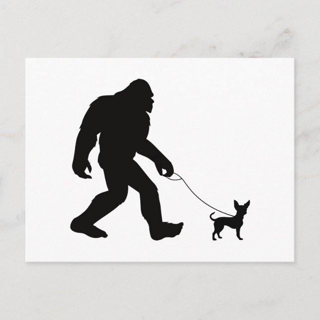 Bigfoot Walking Chihuahua  Postcard (Front)
