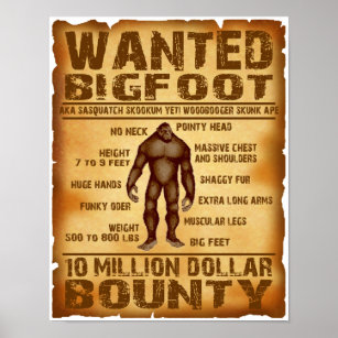 Um pôster de um jogo de bigfoot chamado bigfoot.