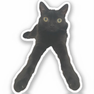 bigfootjinx cat sticker
