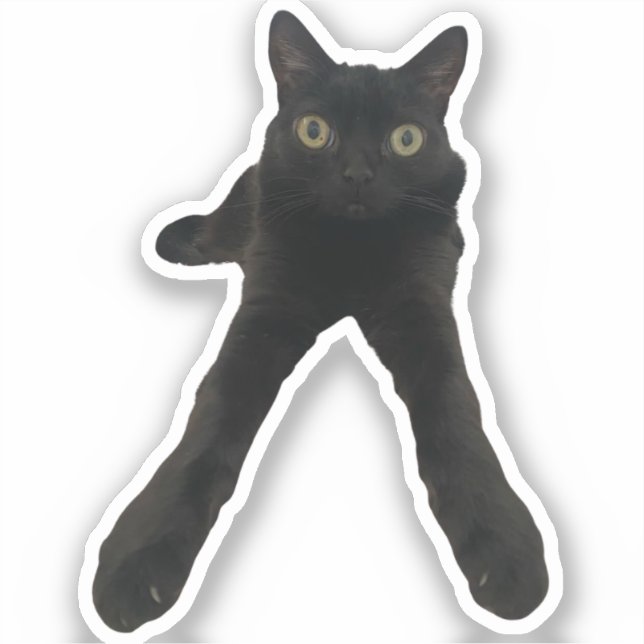 bigfootjinx cat sticker (Front)