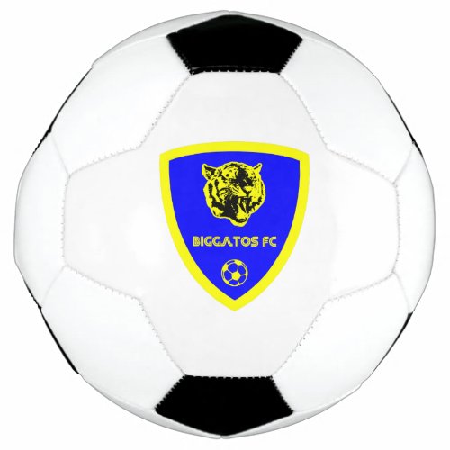 BigGatos FC soccer ball