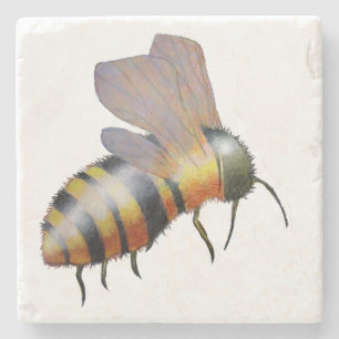 Biggie Bee coasters