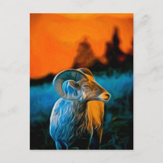 Bighorn at sunset postcard