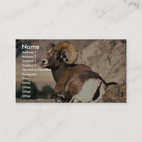 Bighorn Ram Business Cards
