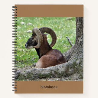 Bighorn Ram Notebook