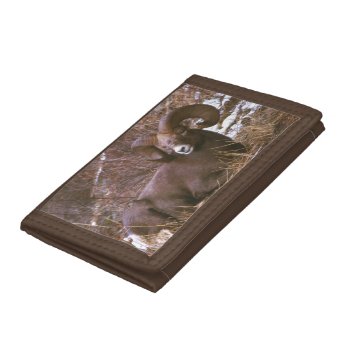 Bighorn Ram Tri-fold Wallet by Artnmore at Zazzle