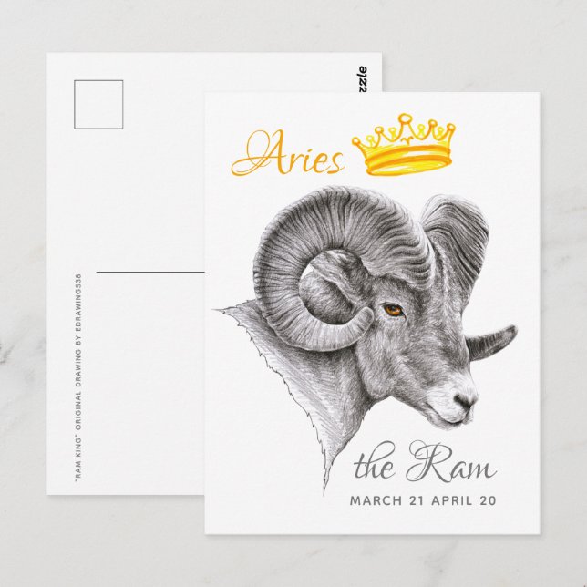 Bighorn Ram with Crown Aries Zodiac Animal art Postcard (Front/Back)