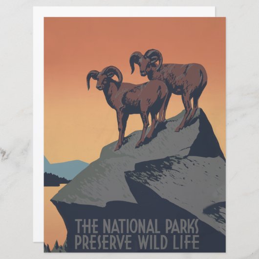 Bighorn Sheep American West Wildlife (Front/Back)