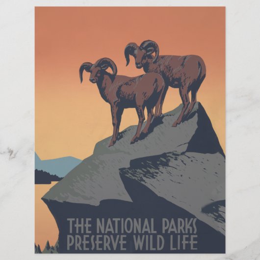 Bighorn Sheep American West Wildlife (Front)