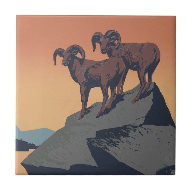 Bighorn Sheep American West Wildlife Ceramic Tile (Front)