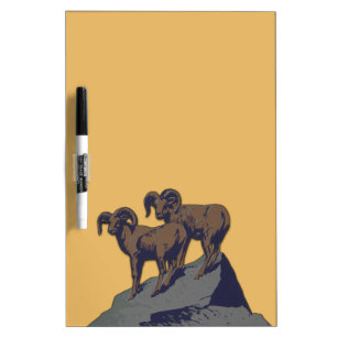 Bighorn Sheep American West Wildlife Dry-Erase Board