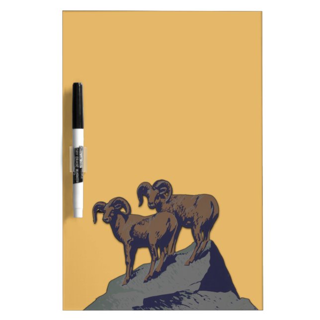 Bighorn Sheep American West Wildlife Dry-Erase Board (Front)