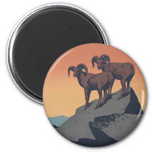 Bighorn Sheep American West Wildlife Magnet