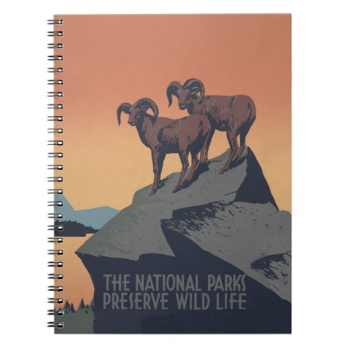 Bighorn Sheep American West Wildlife Notebook