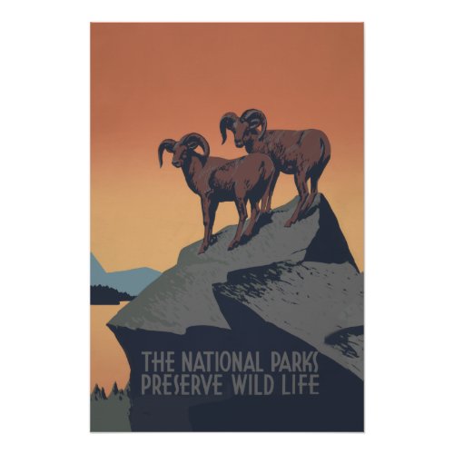 Bighorn Sheep American West Wildlife Poster