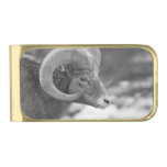 Bighorn Sheep Gold Finish Money Clip