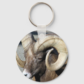 Bighorn Sheep Keychain