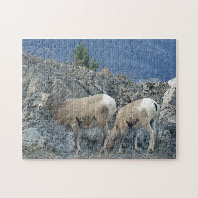 Bighorn Sheep On Rocks Design Jigsaw Puzzle